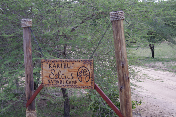 Selous Safari Camp - our third stop.