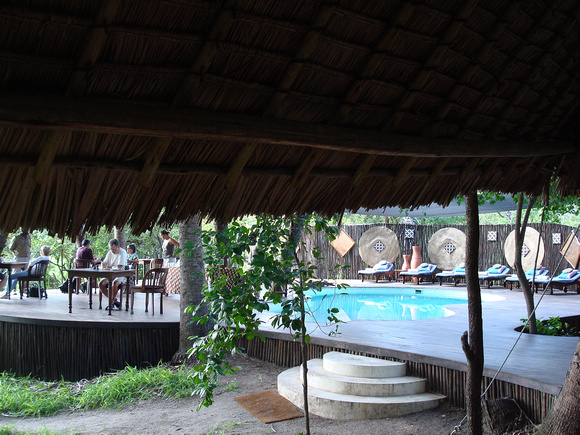 Selous Safari Camp - pool and dining area.