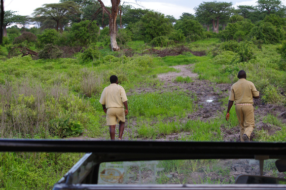 Mwagusi - checking for passable roads.