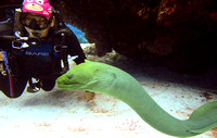 Cozumel Diving 2013