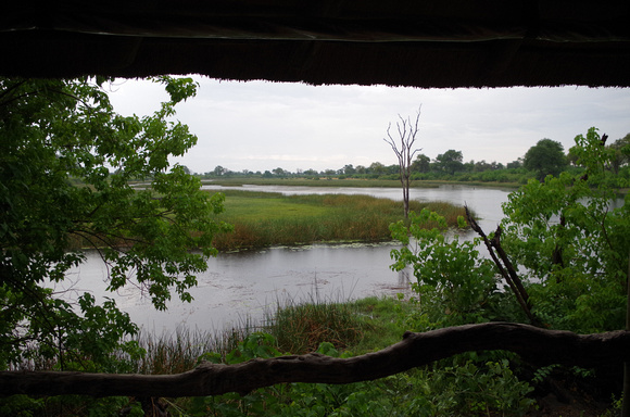 View from Savuti