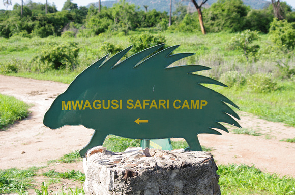 Mwagusi Camp - our second stop.