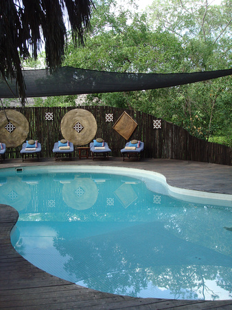 Selous Safari Camp -pool.